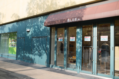 ＳＡＬＥ