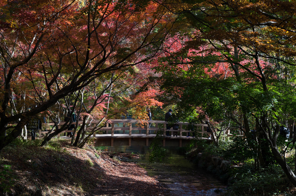 由布院 亀の井別荘ー１