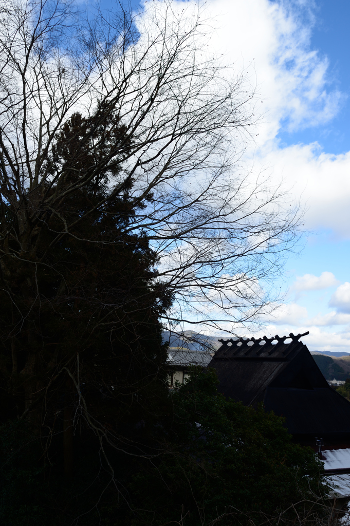 長谷の棚田　～屋根～