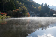 霧の金鱗湖-2