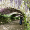 藤園-4