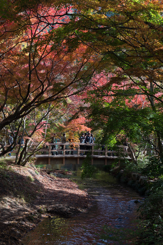 由布院 亀の井別荘ー２