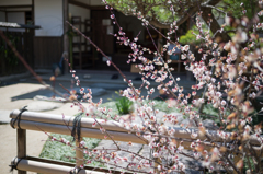 武家屋敷ー２