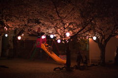 桜の木の下で。