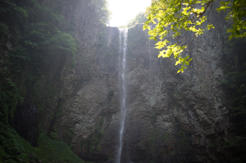 the fall