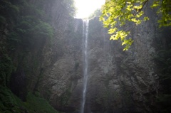 the fall