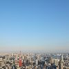 東京だわぁ
