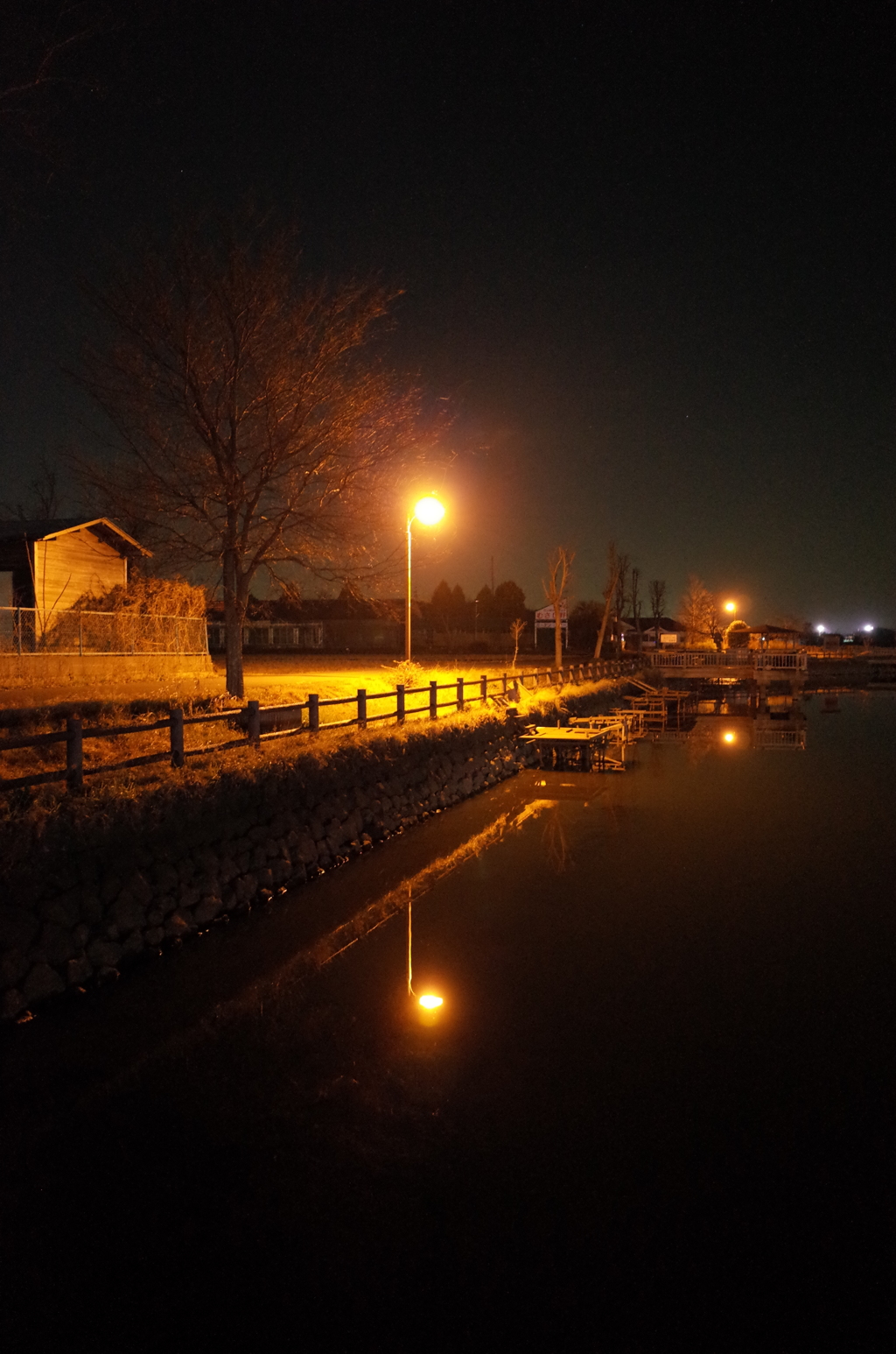 2015/01/24_夜の弁天沼