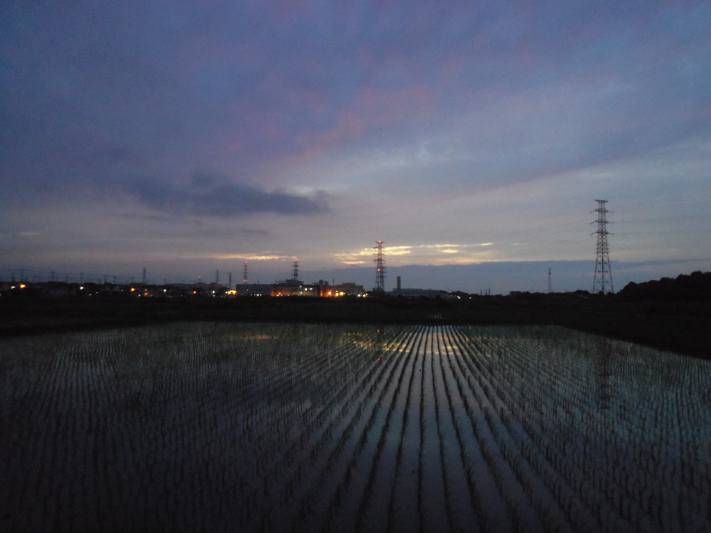2017/06/25_水田の夕暮れ