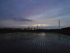 2017/06/25_水田の夕暮れ