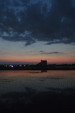2016/06/05_水田の夕暮れ