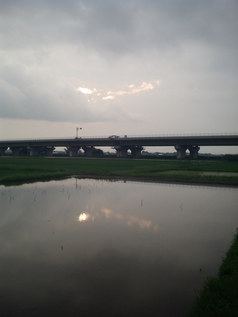 2015/07/05_水田に曇天