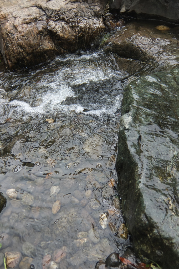 2014/07/06_平成の森公園のせせらぎ