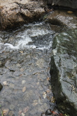 2014/07/06_平成の森公園のせせらぎ