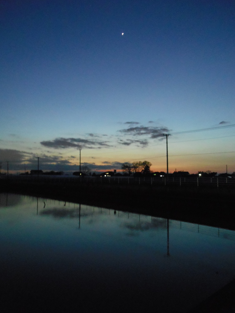 2017/02/19_溜め池の夕暮れ