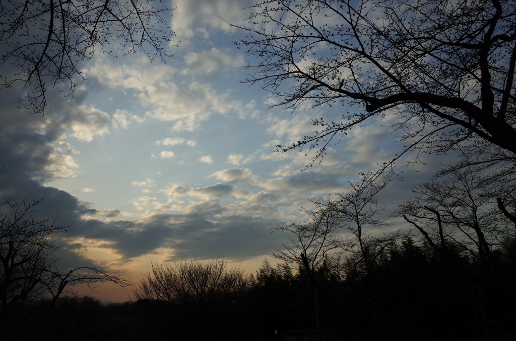 2016/03/26_北本自然観察公園の夕空