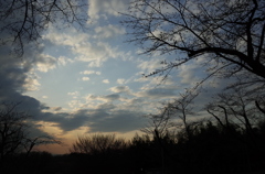 2016/03/26_北本自然観察公園の夕空