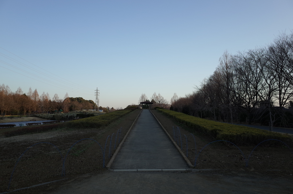 2015/02/15_花の丘農林公苑