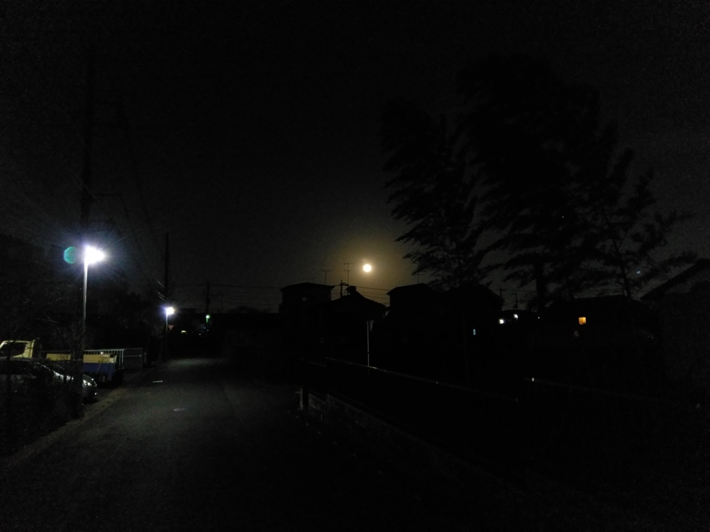 2019/03/21_低い月
