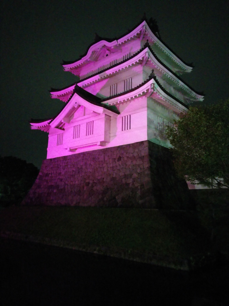 2016/10/10_ピンクリボンの夜の忍城