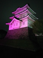 2016/10/10_ピンクリボンの夜の忍城