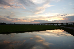 2015/07/19_水田の夕暮れ