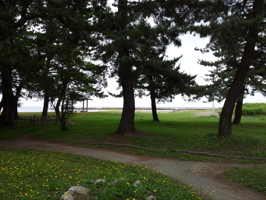 2018/07/16_合浦公園