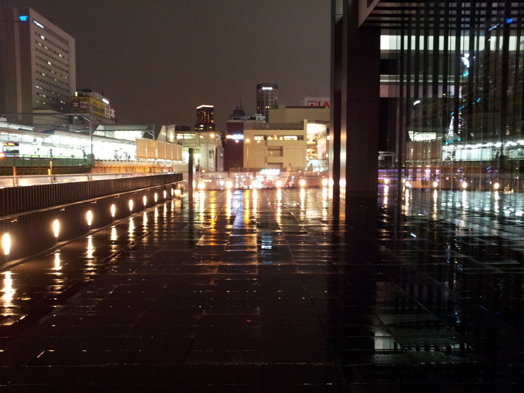 2014/11/26_夜、雨上がりの秋葉原
