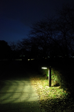 2014/12/31_夕暮れのさきたま古墳公園
