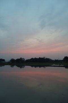 2016/05/01_水田の夕暮れ