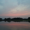 2016/05/01_水田の夕暮れ