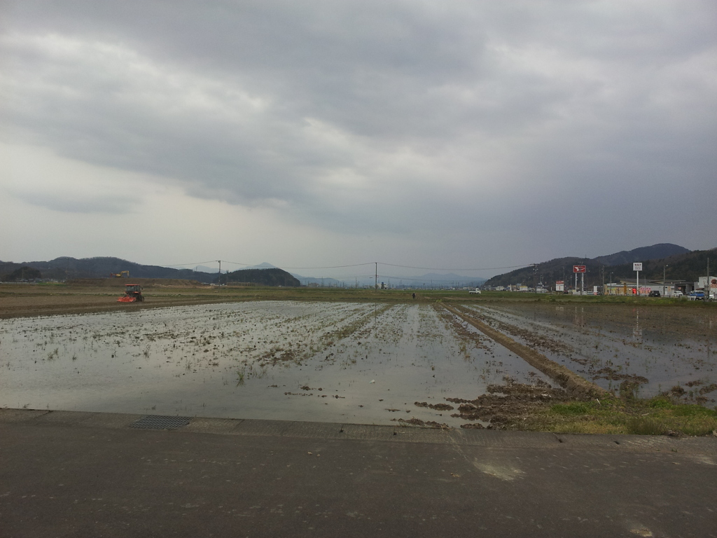 2019/04/14_水田に曇天