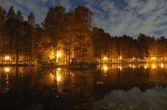 2014/12/07_夕暮れの別所沼公園