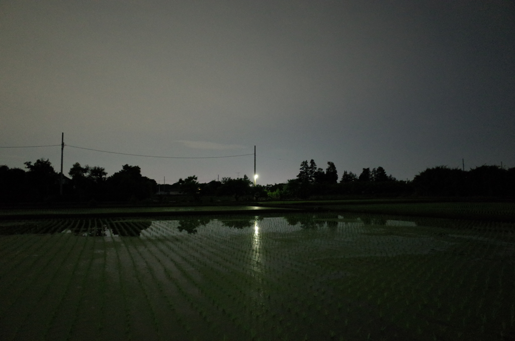 2015/05/23_夜の水田