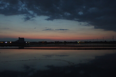 2016/06/05_水田の夕暮れ