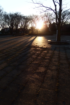 2015/12/19_城山公園の夕暮れ