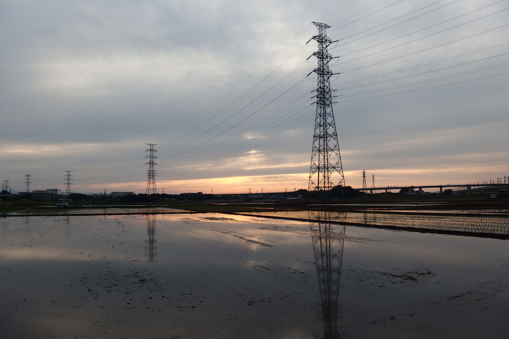 2015/05/31_水田の夕暮れ