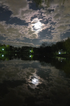 2014/12/06_月夜の北本総合公園