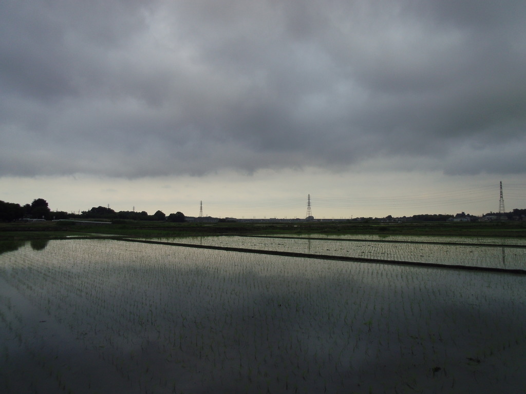 2017/05/27_水田の曇天