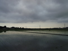 2017/05/27_水田の曇天