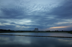 2015/06/21_水田の夕暮れ