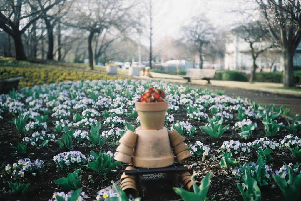 2016/03/19_花の丘農林公苑