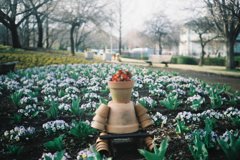 2016/03/19_花の丘農林公苑