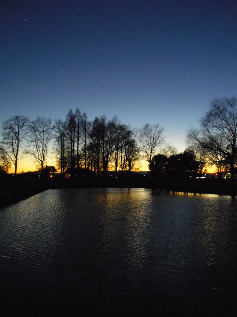 2016/12/30_さきたま古墳公園の夕暮れ