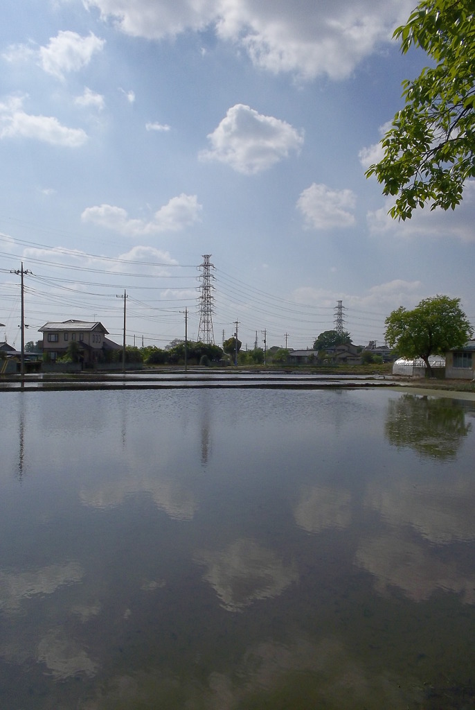 2015/04/29_水田に雲