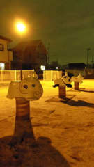 2013/12/23_夜のぼうの下公園2