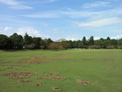 2016/10/18_奈良公園 春日野園地の奥に大仏殿