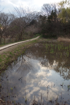 2016/03/26_北本自然観察公園