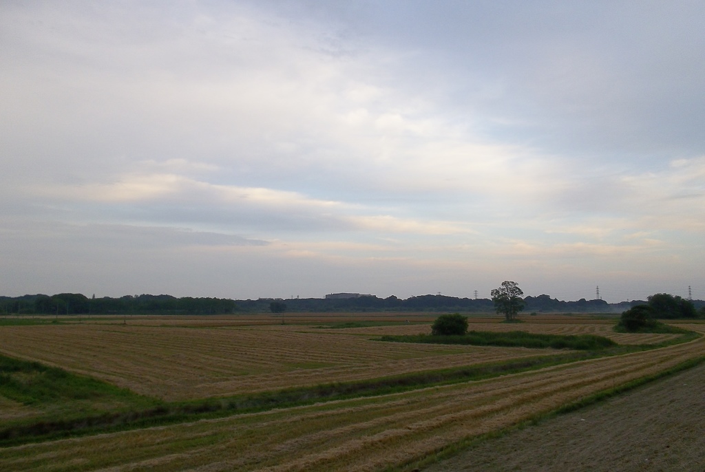 2015/05/30_荒川河川敷