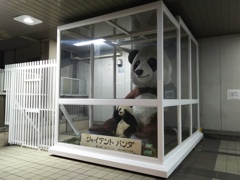 2017/12/19_上野駅のジャイアントパンダと小パンダ
